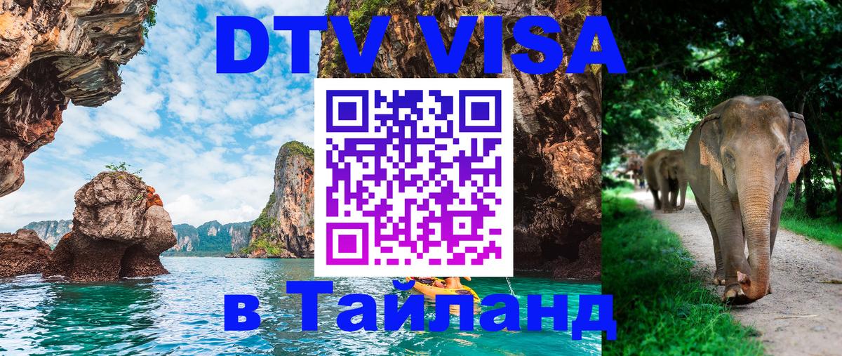 Сколько стоит DTV виза — актуальные цены, оформление даже без документов - 07.12.2025 